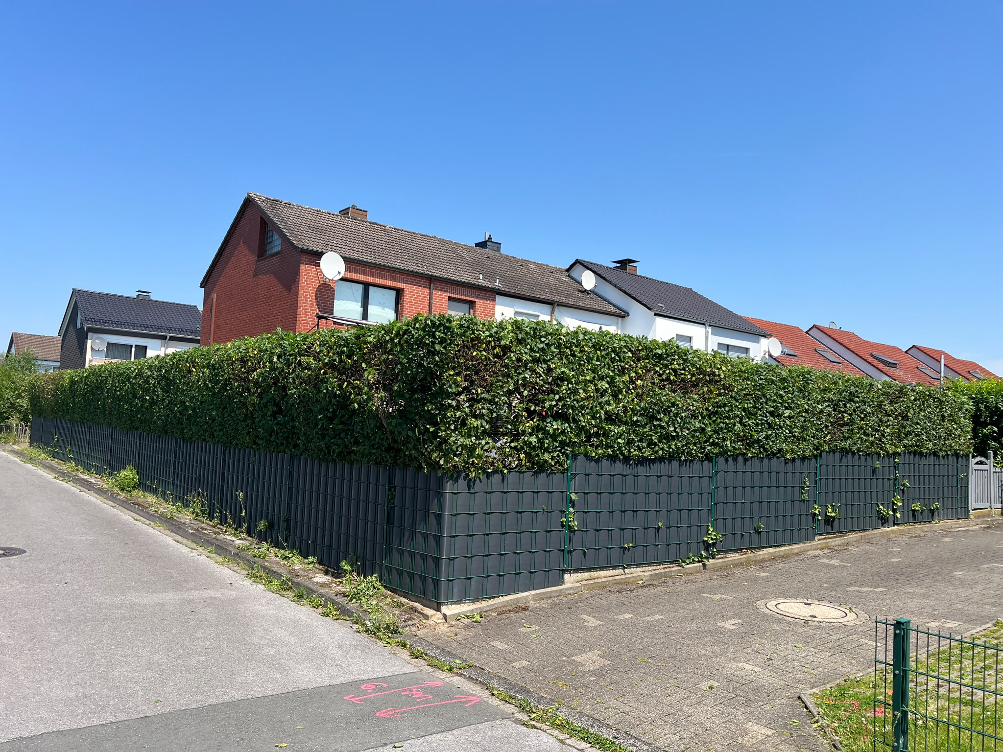 Nachher: sauber in Form geschnittene Hecke